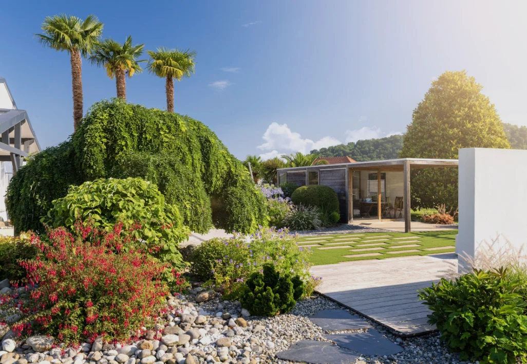 Jardin contemporain avec plantations et végétation graphique