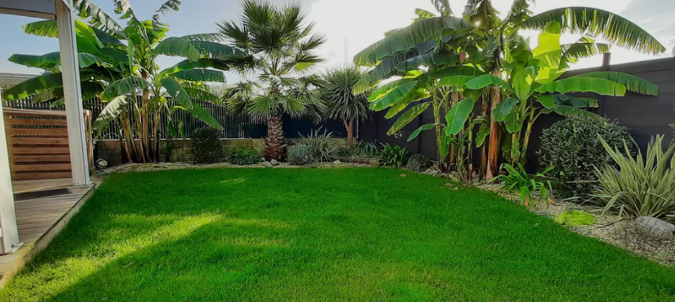 Pelouse au milieu de plantations exotiques