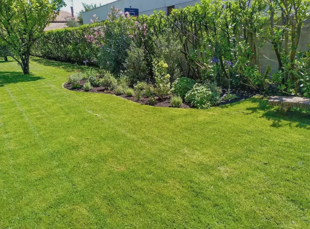 Pelouse tondue et massifs entretenus en bordure de jardin
